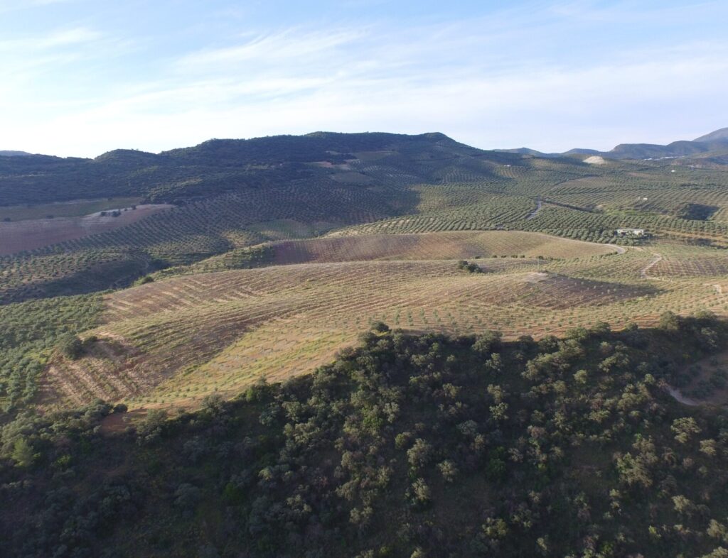DJI_0468-min (2)